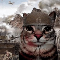 WAR Coin: MEME Coin - Only WAR Coin and Cats Can Save You