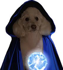 WD Coin: Unleash the Magic of MEME Coins with Wizard Dog Coin!