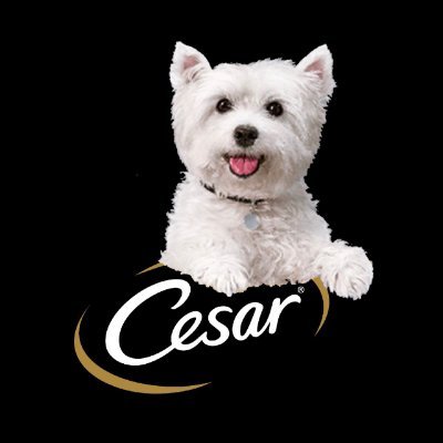 WESTIE Coin: Cesar Brand Dog MEME Coin for Global Dog Lovers