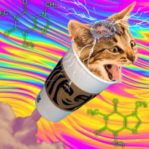 WIRED Coin: Unleash CATFIEND, the caffeinated MEME Coin sensation!