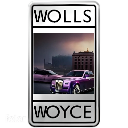 WOYCE Coin: Experience MEME Coin Luxury with WOLLS WOYCE