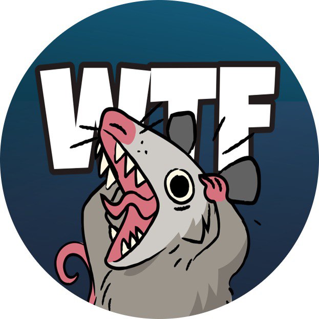 WTFO Coin: MEME Coin for Alpha Opossums on Solana!