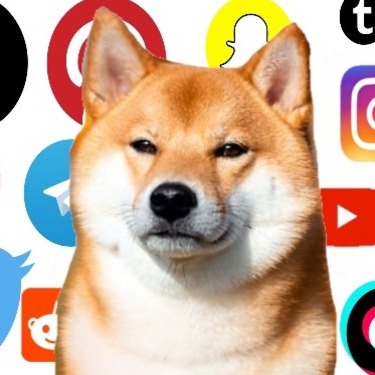 WWWDOG: The Meme-Filled Journey of MEME Coins