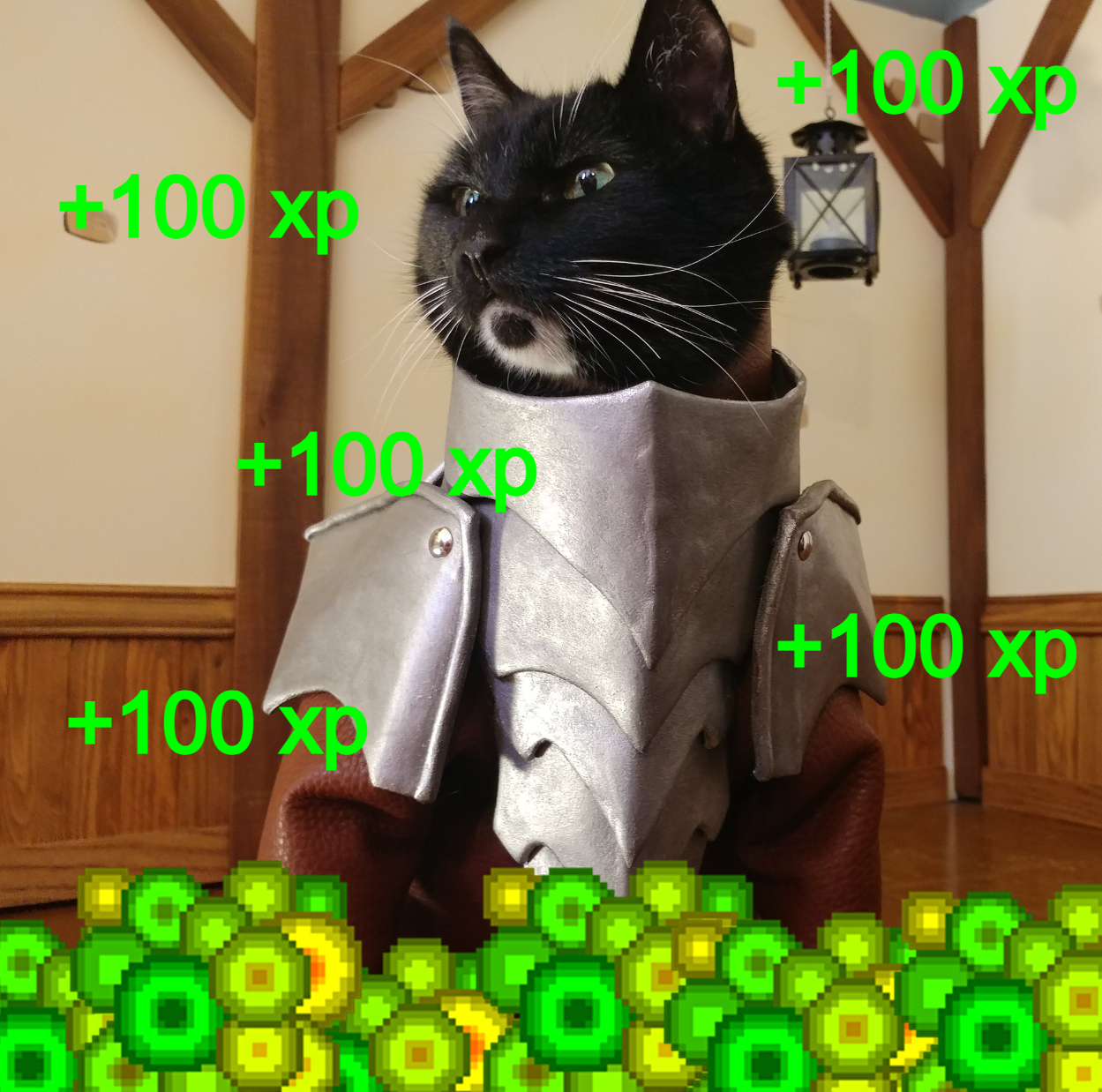 XP Coin: Boost Your Portfolio with the XP MEME Coin—Join the Fun Now!