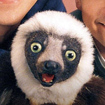 ZABOO Coin: MEME Coin Inspired by Zaboomafoo, Fun and Lemur Love