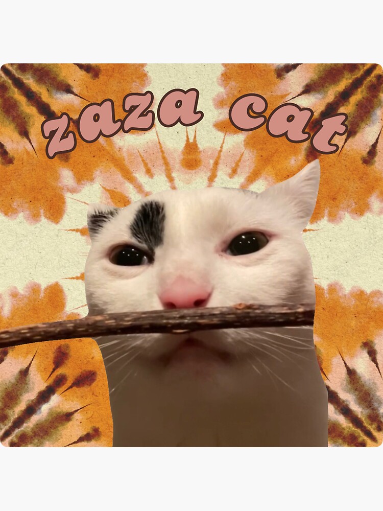 ZAZA Coin: The Purrfect MEME Coin for Meme Lovers #ZAZACoin #MEMECoin